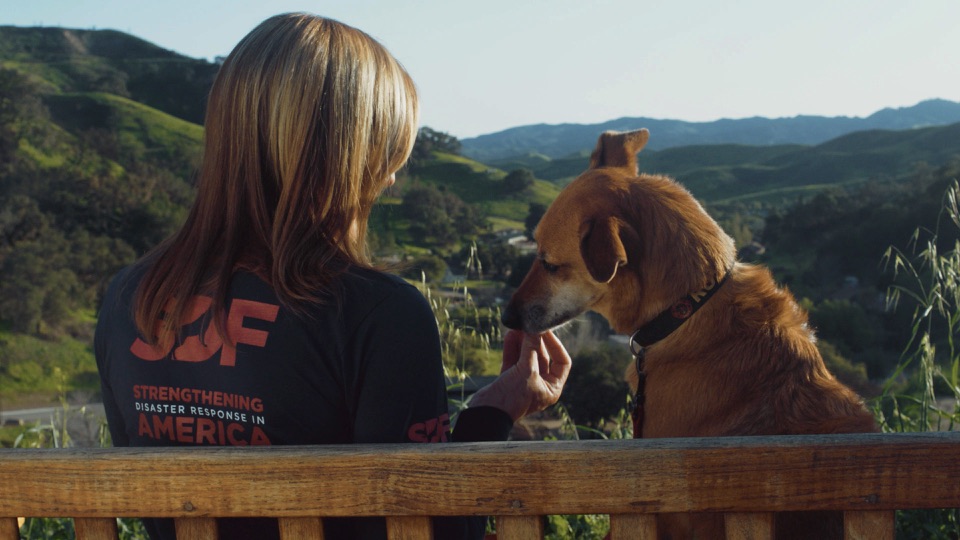 National Search Dog Foundation — From Rescued to Rescuer — video still